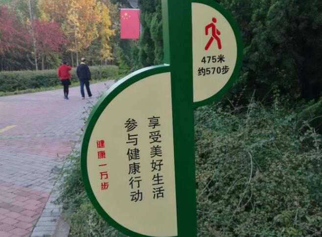 �ɹ�����